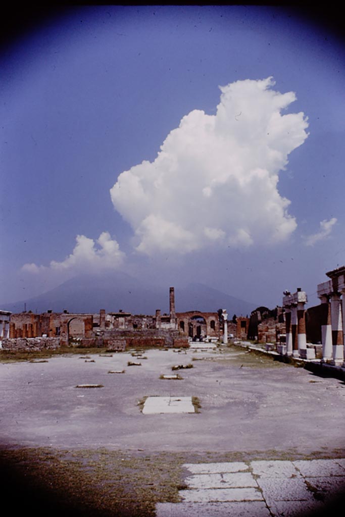 VII.8 Pompeii. 1964. 
Looking north from south end of Forum. Photo by Stanley A. Jashemski.
Source: The Wilhelmina and Stanley A. Jashemski archive in the University of Maryland Library, Special Collections (See collection page) and made available under the Creative Commons Attribution-Non-Commercial License v.4. See Licence and use details.
J64f1277
