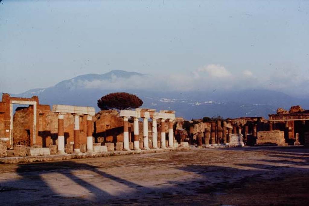 VII.8 Pompeii, 1968. Looking towards the south-east corner of the Forum.  Photo by Stanley A. Jashemski.
Source: The Wilhelmina and Stanley A. Jashemski archive in the University of Maryland Library, Special Collections (See collection page) and made available under the Creative Commons Attribution-Non Commercial License v.4. See Licence and use details. J68f0737
