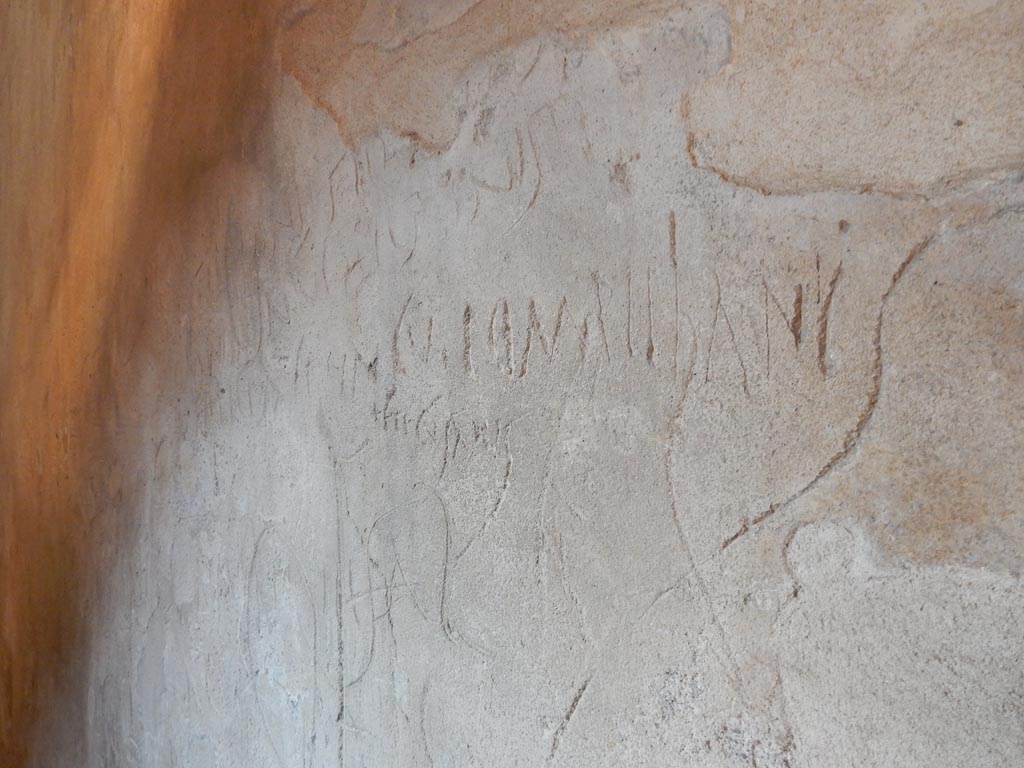VII.12.18 Pompeii. May 2015. Graffiti on plastered wall. Photo courtesy of Buzz Ferebee.