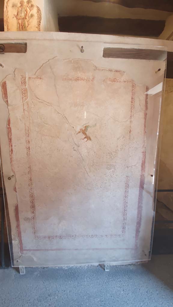 VII.12.18 Pompeii. July 2021. Painted wall plaster.
Foto Annette Haug, ERC Grant 681269 DÉCOR.

