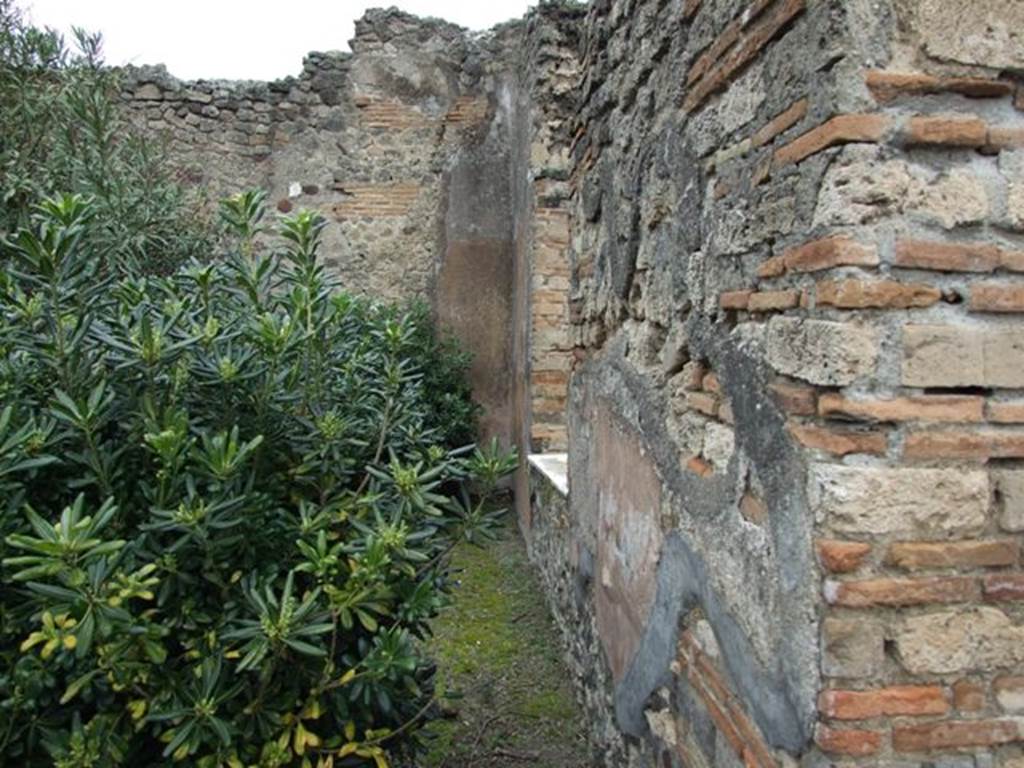 VII.14.5 Pompeii.  March 2009.  Room 11.  Peristyle garden area.  East wall with window to Room 10.