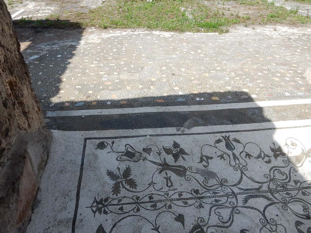 VII.16.13 Pompeii. June 2019. Entrance mosaic and atrium flooring. Photo courtesy Buzz Ferebee.

