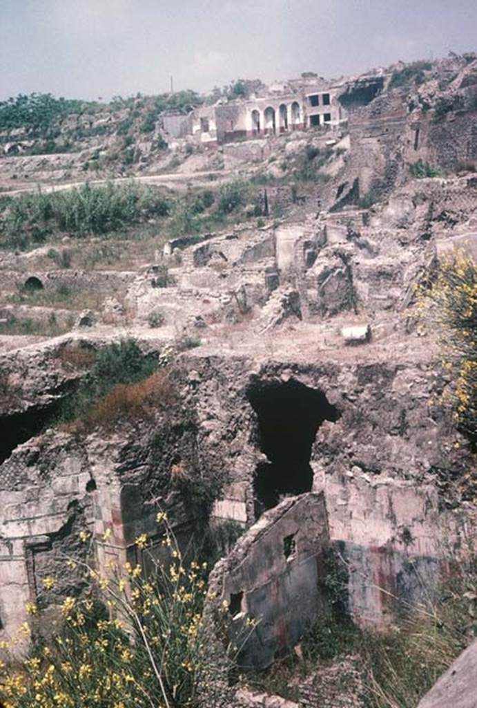VII.16.a, Pompeii. August 1965. Looking north across the Suburban Baths. The area showing vestibule 8, with two windows in the north wall can be seen in the lower centre right.  Photo courtesy of Rick Bauer.
