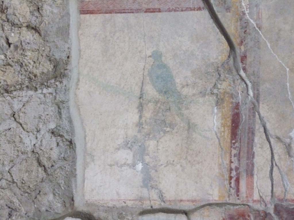VII.16.a Pompeii. December 2006. Vestibule 8, detail from upper east wall of painted bird.