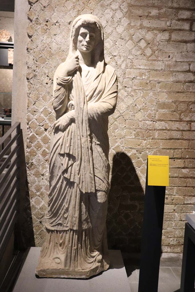VIII.1.4 Pompeii. February 2021. 
Limestone funerary statue of a woman, on display in Antiquarium, from Tomb 6EN at Porta Nocera, 
Photo courtesy of Fabien Bièvre-Perrin (CC BY-NC-SA).
