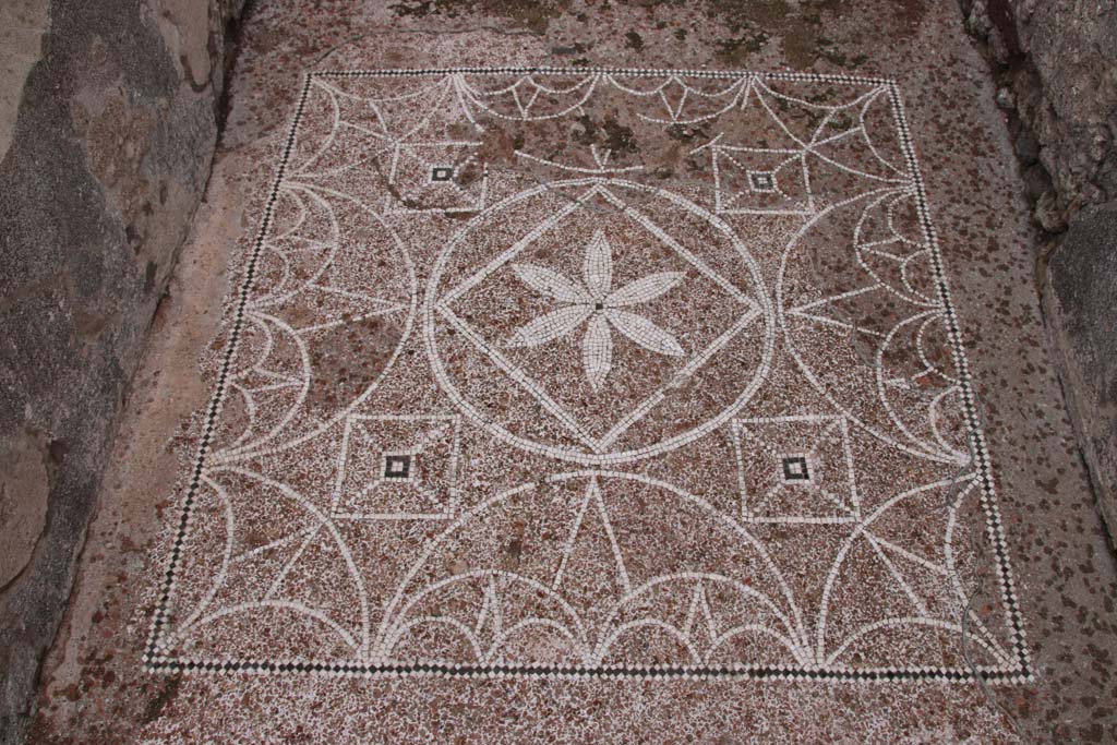 VIII.2.13 Pompeii. October 2020. Looking east across mosaic in entrance corridor. Photo courtesy of Klaus Heese.