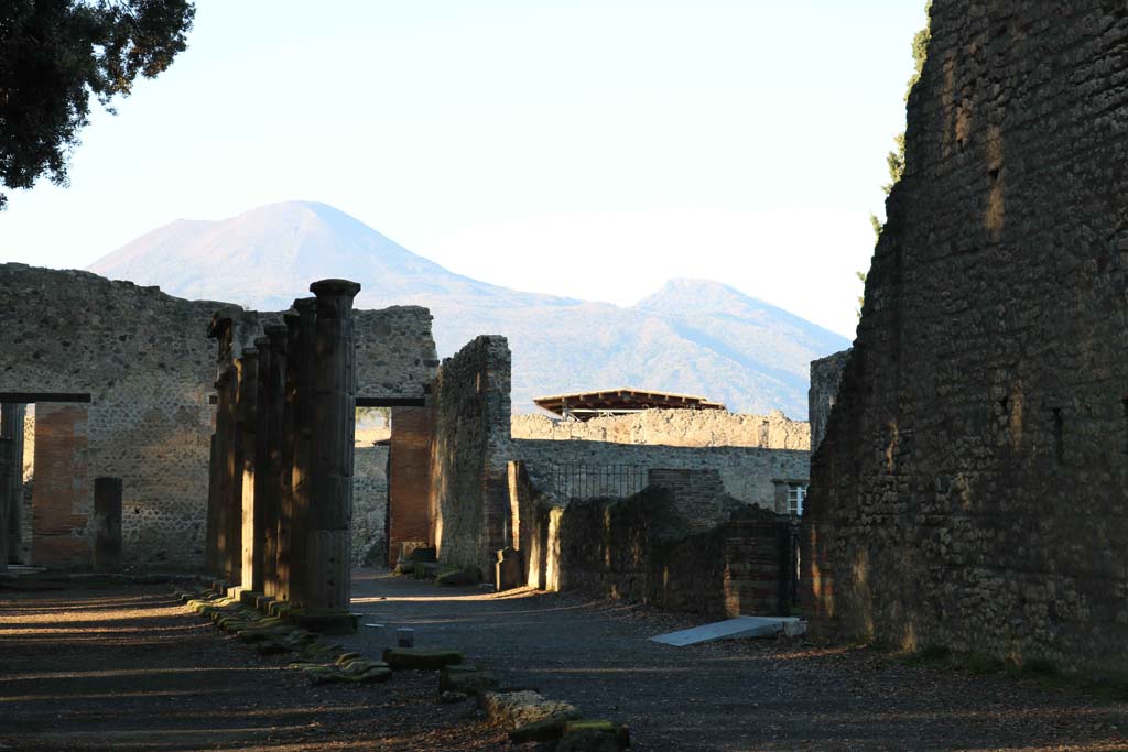 VIII.7.30 Pompeii. December 2018. 
Looking along east side towards north end and Vesuvius in distance. Photo courtesy of Aude Durand.
