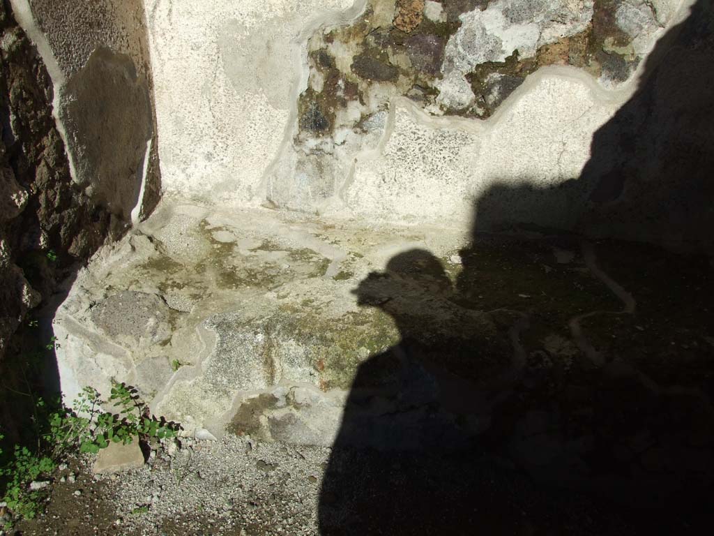 IX.3.2 Pompeii. March 2009. East wall of garden area. Cupboard under staircase.