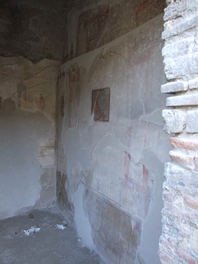 IX.3.5 Pompeii.  March 2009. Room 16.   West wall.
