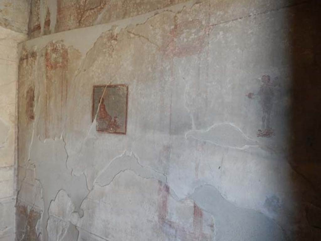 IX.3.5 Pompeii. May 2015. Room 16, west wall. Photo courtesy of Buzz Ferebee.


