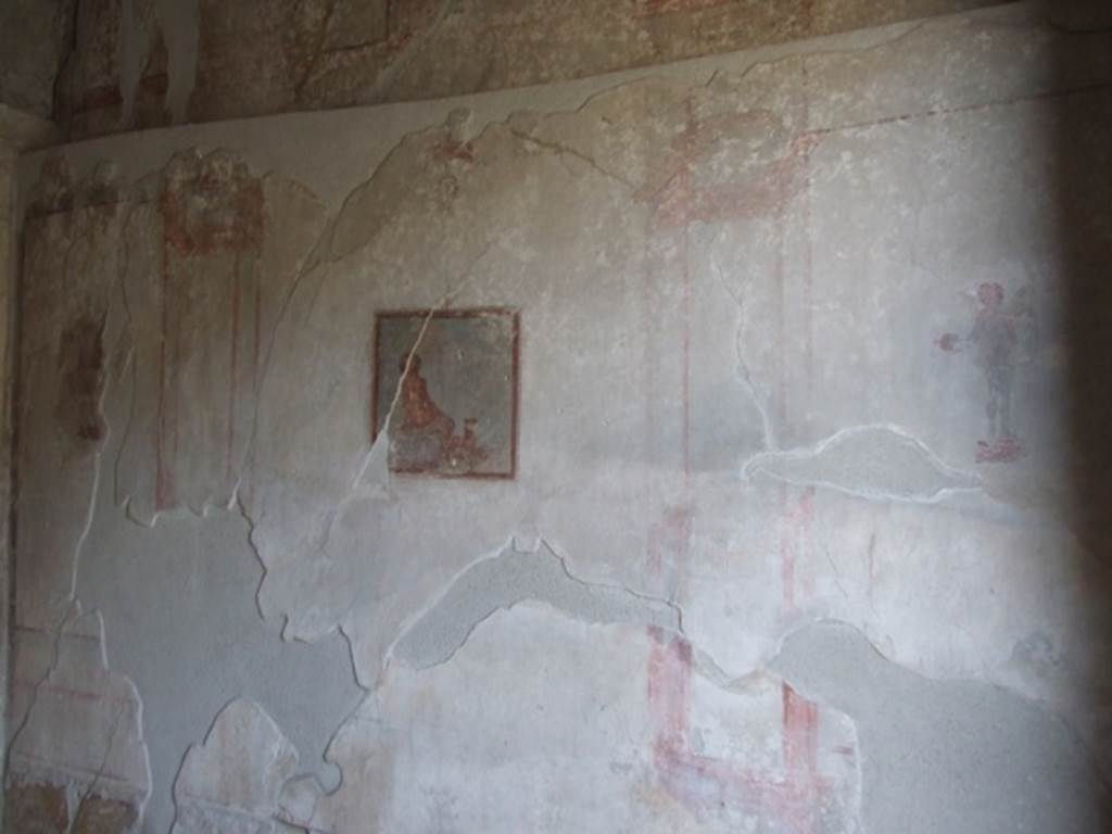 IX.3.5 Pompeii.  March 2009. Room 16.   West wall.