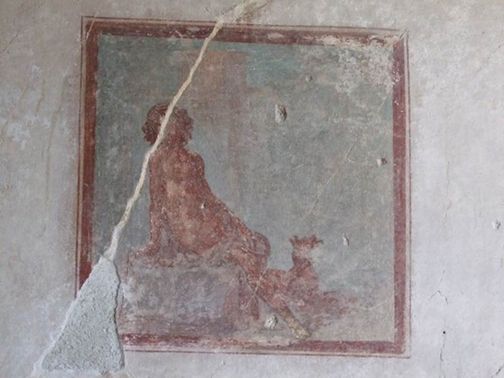 IX.3.5 Pompeii. March 2009. Room 16, wall painting of Endymion, from centre of west wall.
See Helbig, W., 1868. Wandgemälde der vom Vesuv verschütteten Städte Campaniens. Leipzig: Breitkopf und Härtel. (950).

