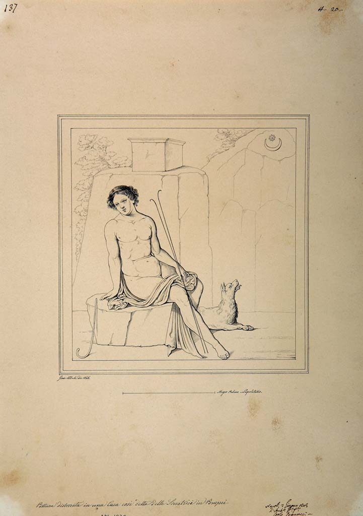 IX.3.5 Pompeii. Drawing by Giuseppe Abbate, 1848, of painting of Endymion from west wall of cubiculum.
Now in Naples Archaeological Museum. Inventory number ADS 1020.
Photo © ICCD. http://www.catalogo.beniculturali.it
Utilizzabili alle condizioni della licenza Attribuzione - Non commerciale - Condividi allo stesso modo 2.5 Italia (CC BY-NC-SA 2.5 IT)
