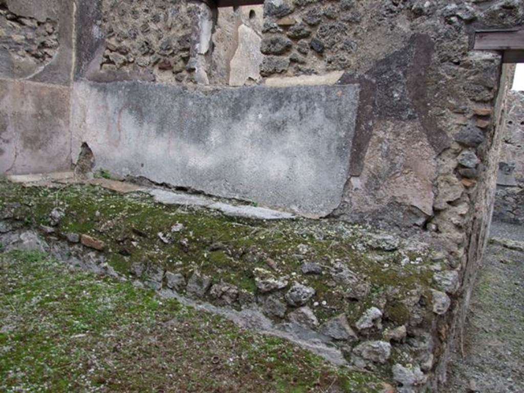 IX.3.20 Pompeii. December 2007. Room 8, garden area.   East wall with raised planting bed or bench.  On the plaster above the bench to the right was a lararium painting of the river god Sarnus.  On the left was a painted altar approached by a single snake, the outline of which can still be seen. See The Gardens of Pompeii, Volume II Appendices, by W F Jashemski, 482, Page 234.