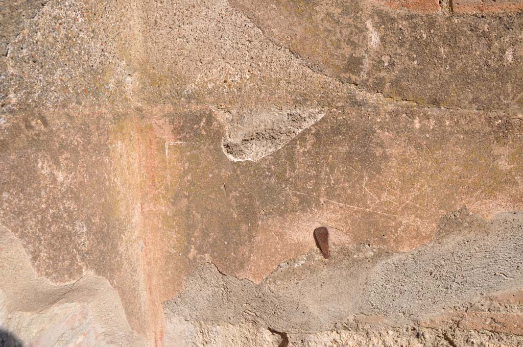 IX.5.1 Pompeii. July 2017. Detail from north wall in north-west corner.
Foto Annette Haug, ERC Grant 681269 DÉCOR.

