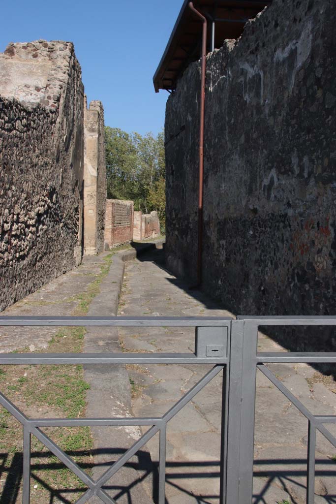 Vicolo del Gigante between VII.16 and VII.15. September 2017. West wall of VII.15.1/2. 
Looking north from near junction with Vicolo del Gallo. 
Photo courtesy of Klaus Heese.

