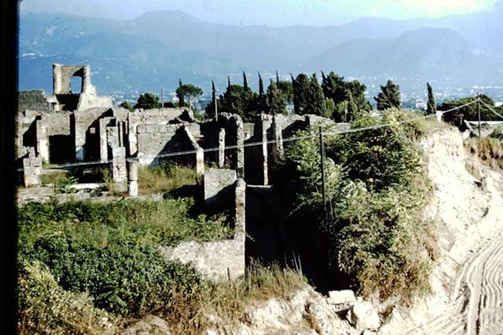 Vicolo del Gigante, looking south from junction with Vicolo dei Soprastanti. 1959. On the left is the garden of VII.15.2, and VII.16.16 on right.  Photo by Stanley A. Jashemski.
Source: The Wilhelmina and Stanley A. Jashemski archive in the University of Maryland Library, Special Collections (See collection page) and made available under the Creative Commons Attribution-Non Commercial License v.4. See Licence and use details.
J59f0101
