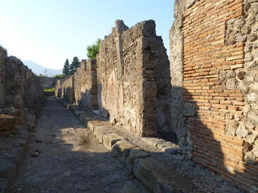 Vicolo di Modesto, May 2011. East side, from outside VI.5.10, looking north.