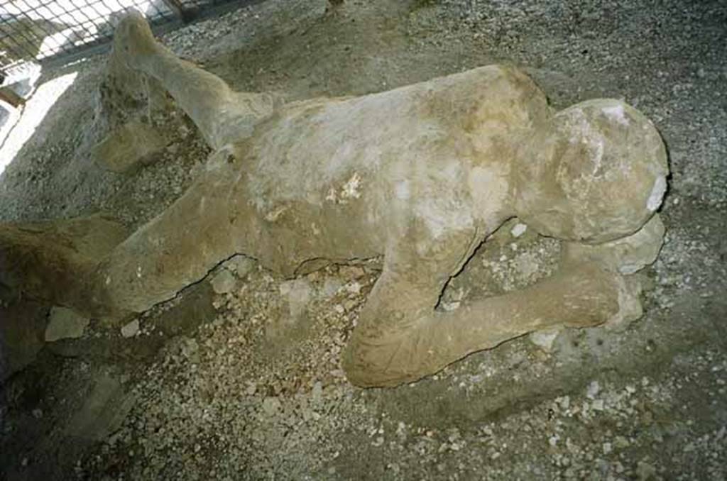 Pompeii, outside Porta Nocera. July 2010. Plaster cast of a fleeing victim, found in September 1956. A press photo dated 10th September 1956, in Ricks collection, identifies this cast as one from Porta Nocera. Photo courtesy of Rick Bauer. 