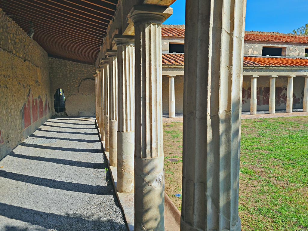 Oplontis Villa of Poppea, October 2023. Area 59, looking north along west portico of peristyle. Photo courtesy of Giuseppe Ciaramella. 