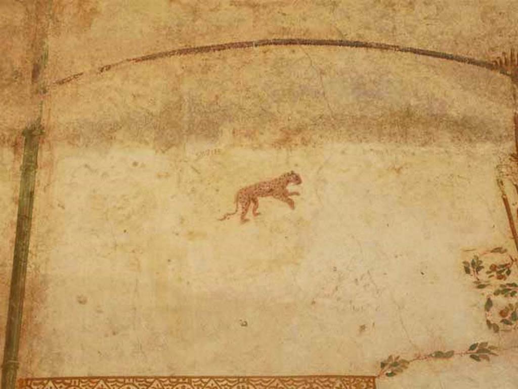 Oplontis, May 2011. Portico 40, east wall, painting of leopard on wall. Photo courtesy of Buzz Ferebee.
