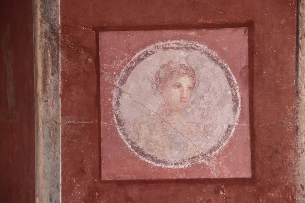 Stabiae, Villa Arianna, October 2020. Room 7, painted medallion from east end of south wall. Photo courtesy of Klaus Heese.