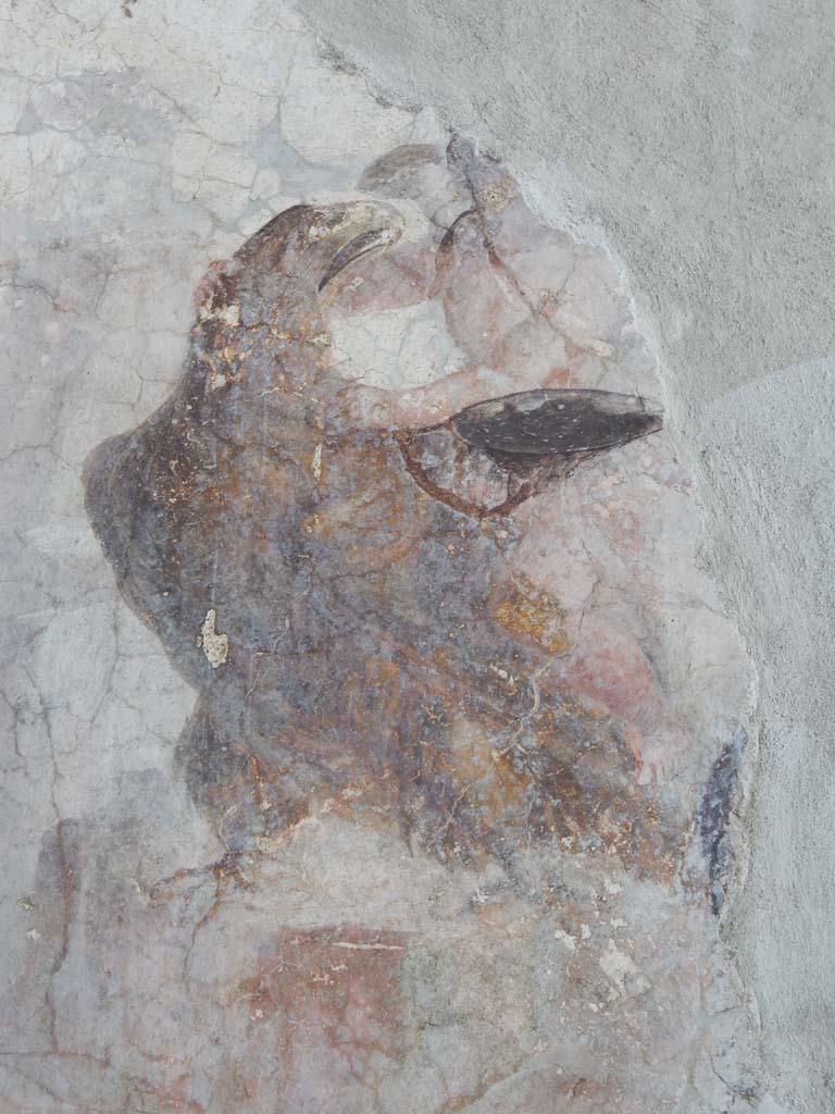 Stabiae, Villa Arianna, June 2019. Room 3, west wall, detail of Zeus in the guise of an eagle. 
Photo courtesy of Buzz Ferebee.

