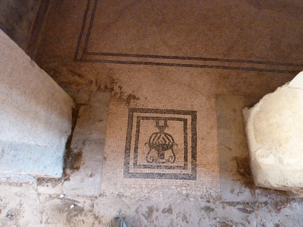 Stabiae, Villa Arianna, September 2015. W.28, mosaic threshold in doorway.