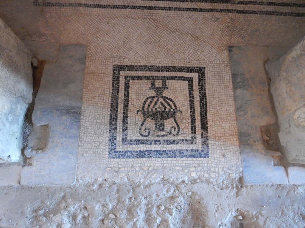 Stabiae, Villa Arianna, June 2019. W.28, detail of mosaic threshold in doorway. Photo courtesy of Buzz Ferebee.