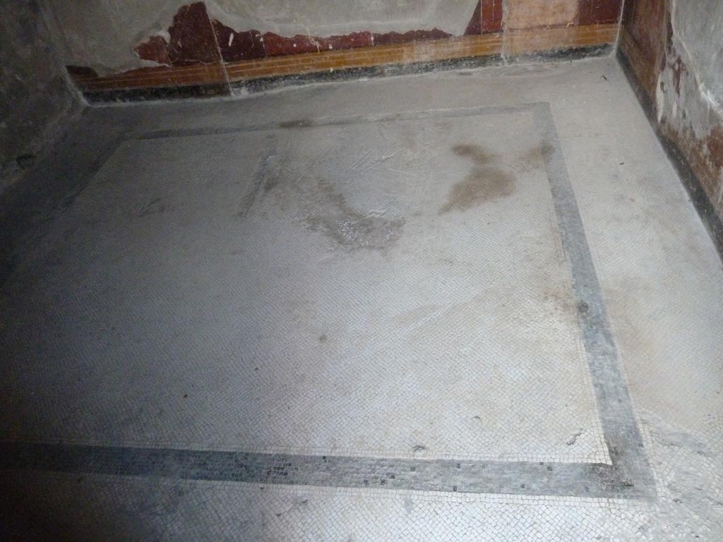 Stabiae, Villa Arianna, September 2015. Room 44, mosaic floor.