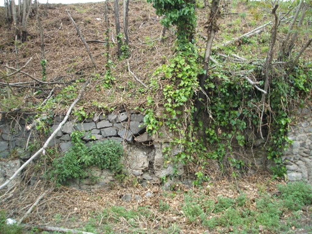 IV.4.f, (on left) and IV.4.g, (on right), Pompeii. May 2005. 
According to Liselotte Eschebach between f and g there was a Street Altar and niche, originally with a bench. She suggested this may be the street altar described by Fr�hlich in F24. Fr�hlich in turn refers to a drawing in Gell and Gandy.
See Eschebach, L., 1993. Geb�udeverzeichnis und Stadtplan der antiken Stadt Pompeji. K�ln: B�hlau. (p.120)
See Fr�hlich, T., 1991. Lararien und Fassadenbilder in den Vesuvst�dten. Mainz: von Zabern. (p315, F24)

