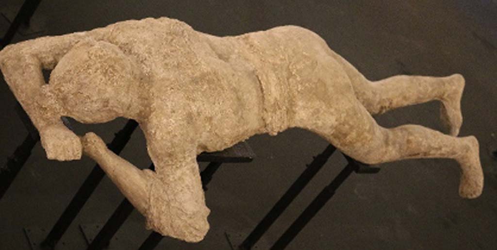 Victim number 10. Pompeii Cast Project 2015. Photo courtesy of Estelle Lazer.
According to Estelle Lazer, there is no clear evidence that this victim is female. The volume rendered image of the CT scanned cast does not display female features. 
The allegedly distended abdomen is probably a reflection of the impression of clothing that became bunched up when the victim fell during the eruption. 
The epiphyses of the radius and ulna appear to be fused, which indicates that the individual was an adult.
See Lazer E., et al. 2020. Inside the Casts of the Pompeian Victims: Results from the First Season of the Pompeii Cast Project In 2015. Papers of the British School at Rome.
