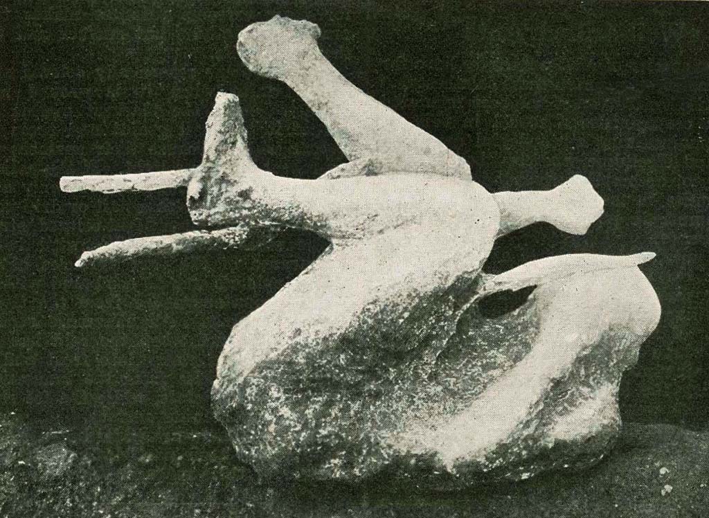 Porta Nola Pompeii. December 1911. Cast of victim with tree branches found 15.50 m from the south-east corner of the fence on the side of the funerary schola of Aesquillia Polla.
See Harpers Weekly: May 25th, 1912, p. 24. Photo courtesy of Rick Bauer.
