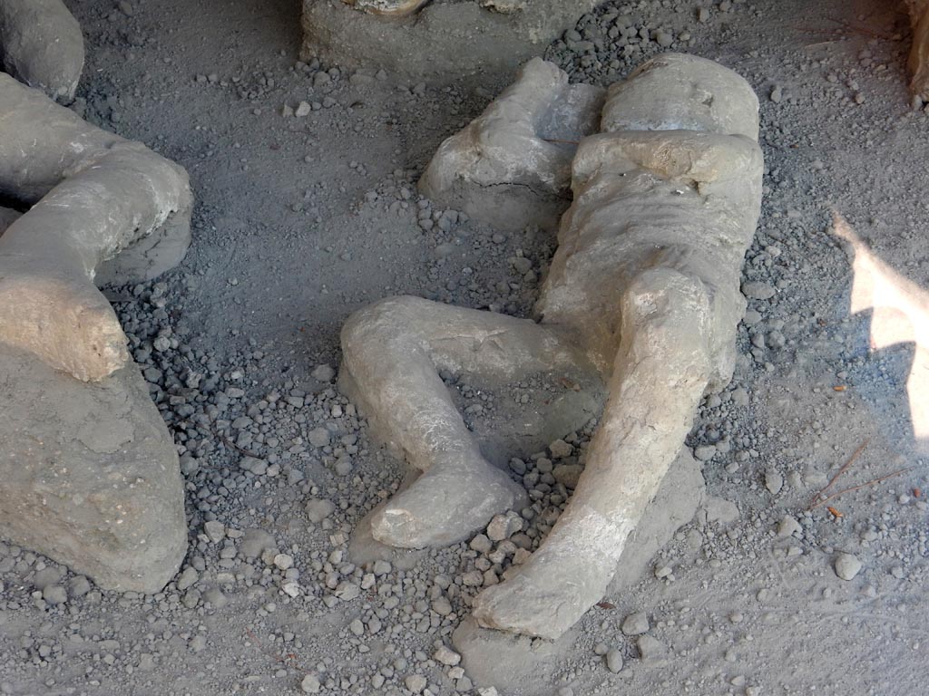 I.21.6 Pompeii. May 2016. Plaster cast of victim 37. Photo courtesy of Buzz Ferebee.