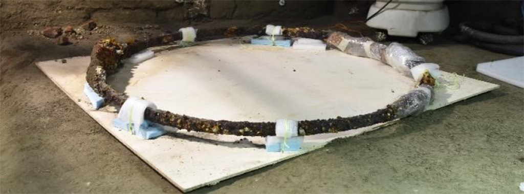 Cività Giuliana. February 2021. One of the iron wheels

Cività Giuliana. Febbraio 2021. Una delle ruote di ferro

Photograph © Parco Archeologico di Pompei.

