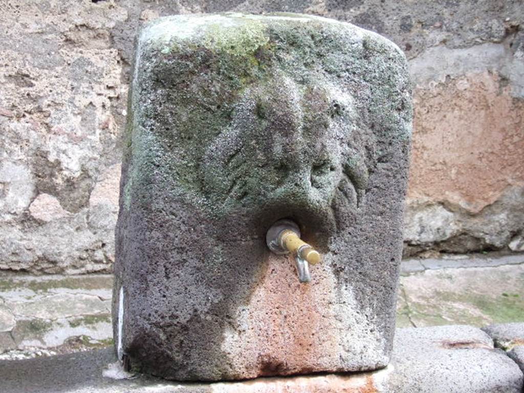 Fountain outside VI.16.28 on Vicolo dei Vettii. December 2005. 
According to Eschebach this is a relief of Oceanus or of a lion-griffin.
See Eschebach H. Die �ffentlichen Laufbrunnen Pompejis: Pompeii Herculaneum Stabiae. Amici di Pompei, I, 1983, p. 13.
