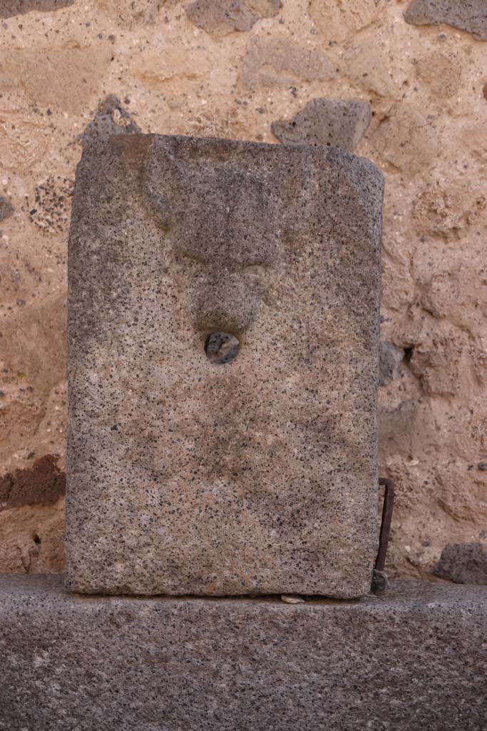 VII.8 Forum. September 2021. 
Fountain outside north wall with relief of head of dog. Photo courtesy of Klaus Heese.
