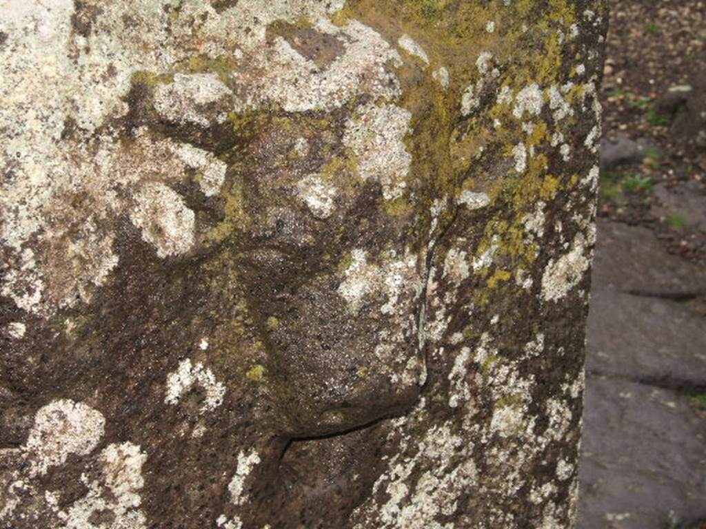 Fountain at VIII.2.29. December 2005. Relief of bull or ox, looking north-west.