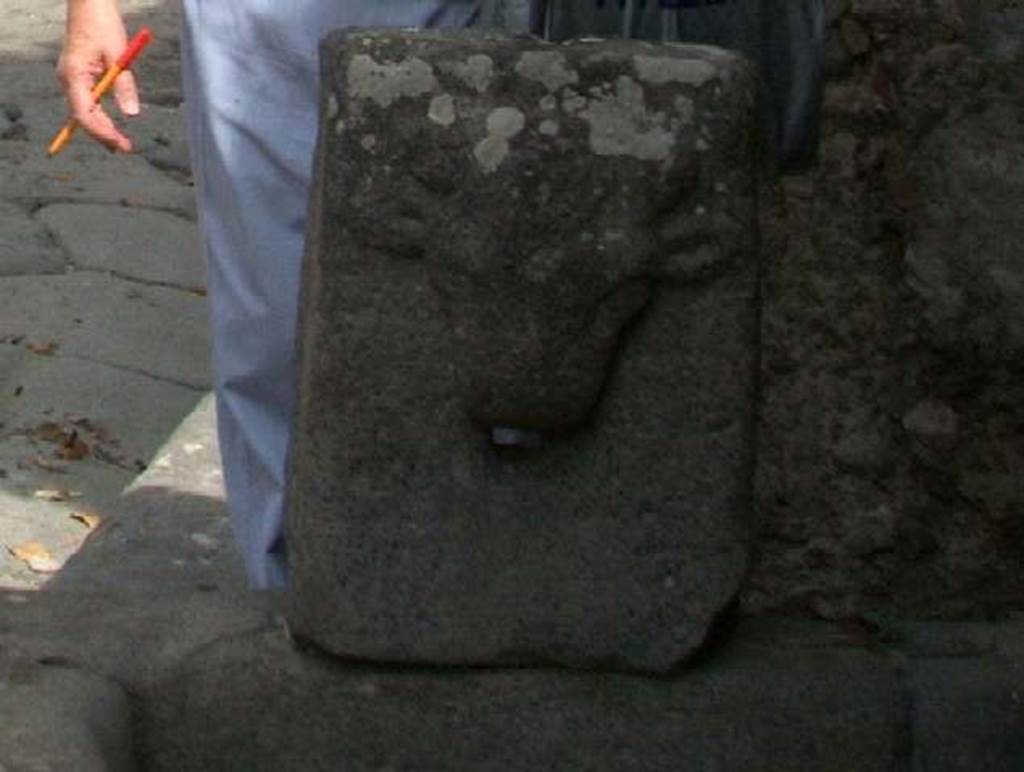 Pompeii. Fountain on Vicolo di Tesmo outside IX.7.17. May 2005. Bulls head.