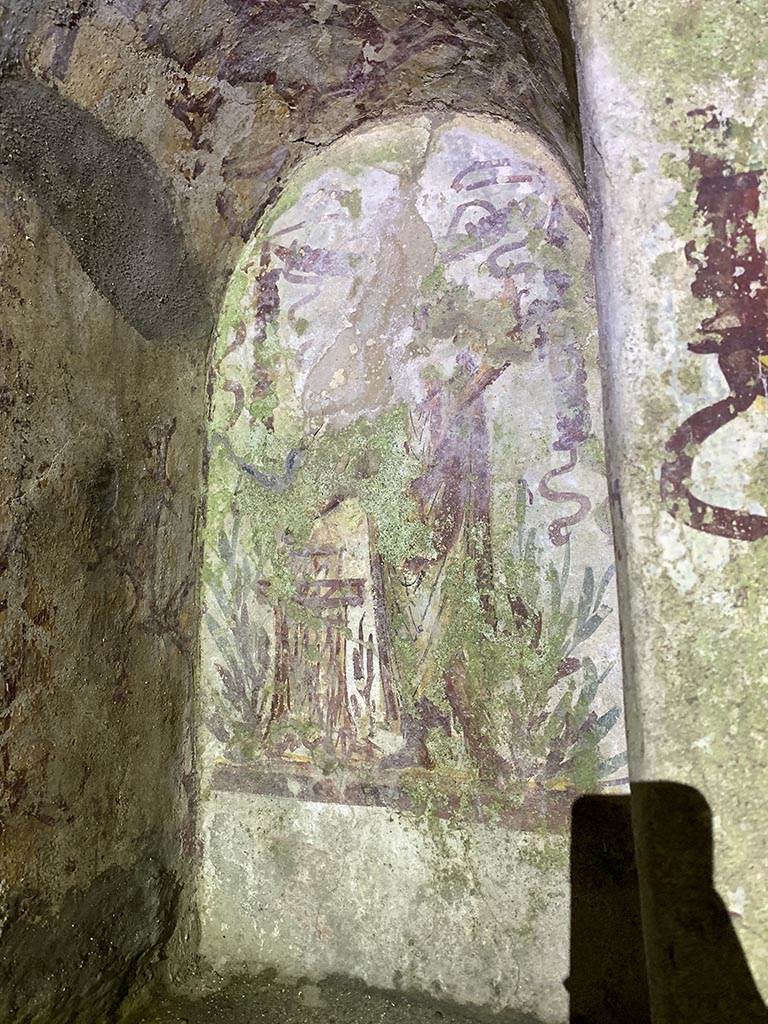 VII.2.20 Pompeii. November 2024. 
Painted lararium niche on north wall at west (left) side. Photo courtesy of Yuliya Sanchenko.
