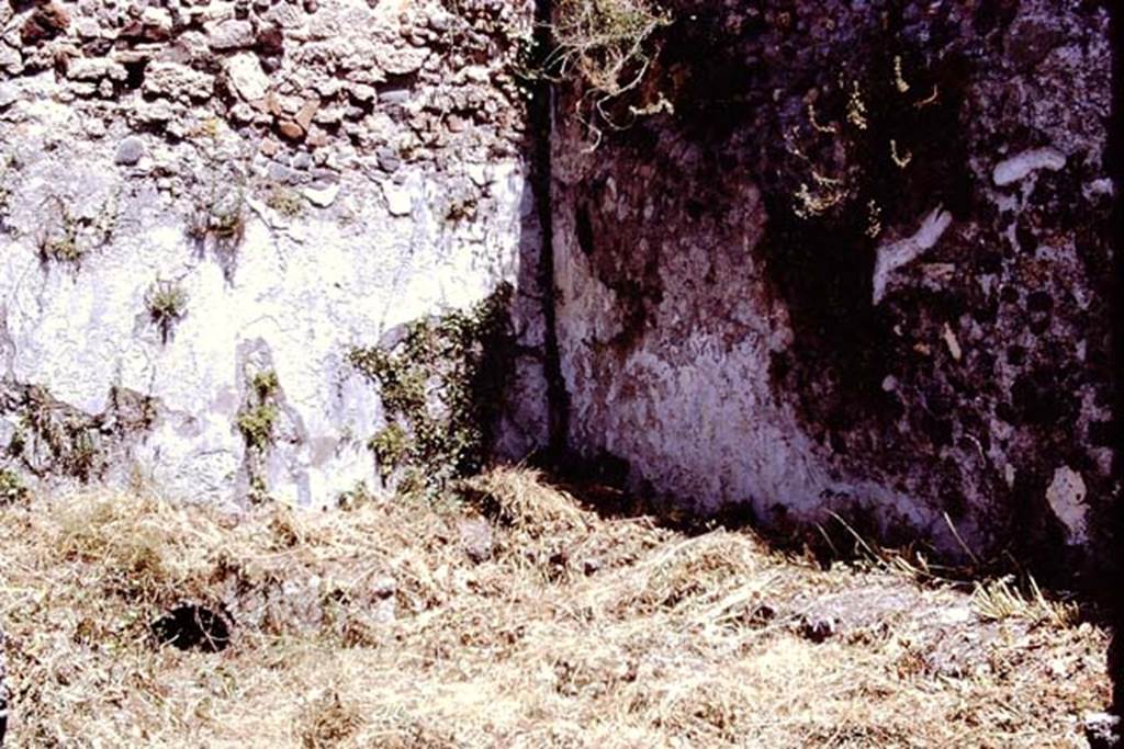 I.2.10 Pompeii. 1972. Looking towards the north-east corner of peristyle garden. Photo by Stanley A. Jashemski.
Source: The Wilhelmina and Stanley A. Jashemski archive in the University of Maryland Library, Special Collections (See collection page) and made available under the Creative Commons Attribution-Non Commercial License v.4. See Licence and use details. J72f0053