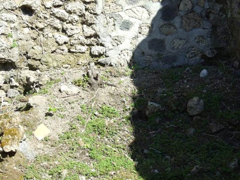 I.2.17 Pompeii. March 2009. Room 3, east wall.