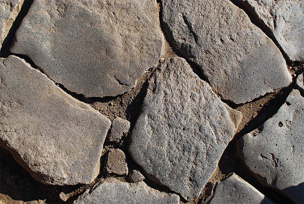 Fig. 4 � Pomp�i, boulangerie I 3, 27 � Usure du dallage de basalte entre les meules 1 et 2.
Le piquetage initial, li� au d�bitage des blocs, ne subsiste en surface qu�en dehors du parcours des �quid�s ayant fait tourner la meule.
Clich� : N. Monteix � EFR. Utilisation soumise � CC-BY-NC-SA 4.0
