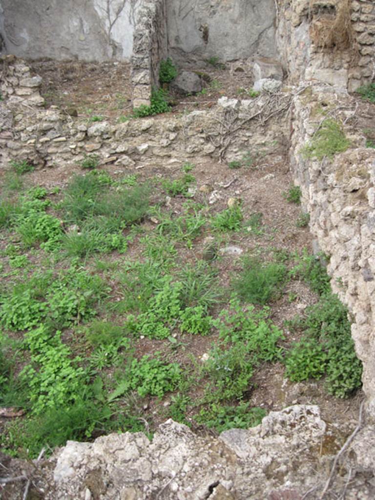 I.3.30 Pompeii. September 2010. Looking north along eastern part of peristyle garden.
Photo courtesy of Drew Baker.