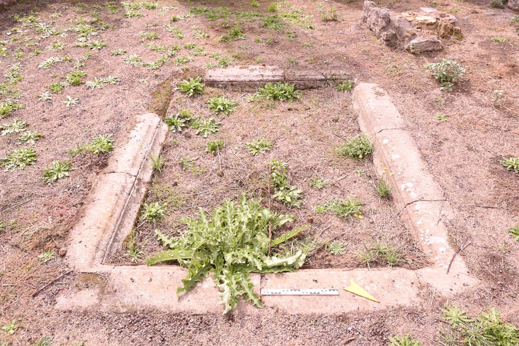 I.4.2 Pompeii. October 2019. Detail of impluvium in atrium, looking west.
Foto Tobias Busen, ERC Grant 681269 D�COR.

