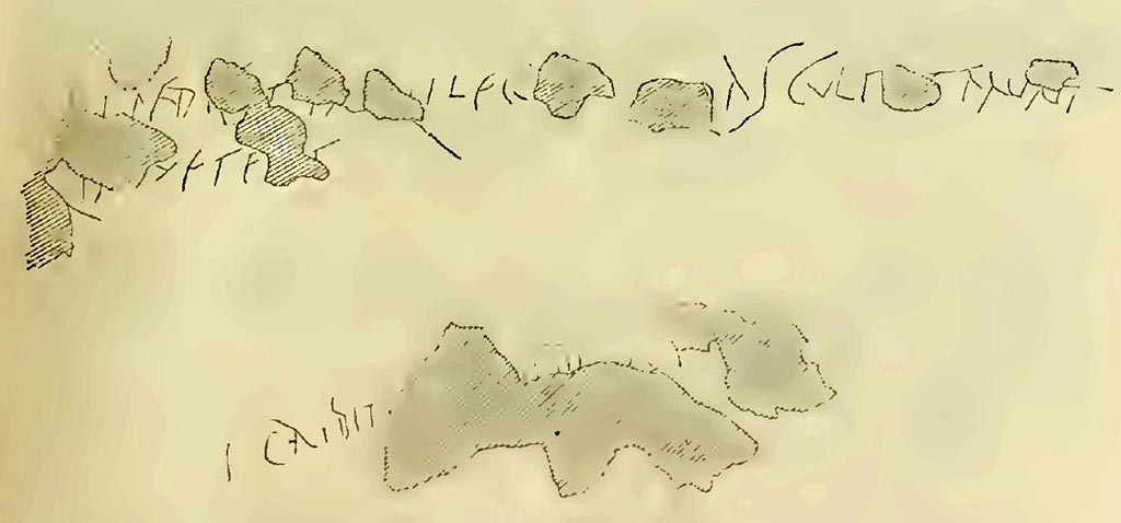 I.4.4 Pompeii. Notizie degli Scavi di Antichit�, 1898, p.31, fig. 1.
According to NdS, a piece of plaster (intonaco di mattone) fell from the north wall and underneath it appeared a part of a red dado with an inscription. Unfortunately the conservation of the inscription was not good, as the wall had been chiselled to give better adhesion to the upper new plaster.  
Taking into account the red plaster that was missing, it would read �
