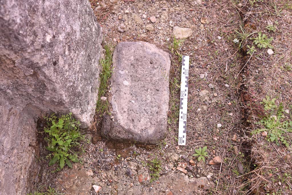 I.4.9 Pompeii. October 2019. Tablinum h, detail at base of south wall in south-west corner of tablinum.
Foto Tobias Busen, ERC Grant 681269 D�COR.
