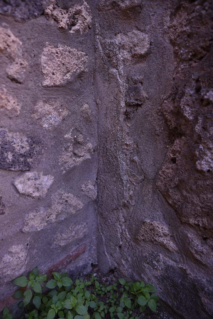 I.4.25/I.4.5 Pompeii. October 2019. Small room 5, detail from north wall in north-west corner.
Foto Tobias Busen, ERC Grant 681269 D�COR.
