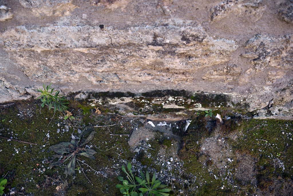 I.4.25/1.4.5 Pompeii. October 2019. Cubiculum 8, detail from centre of lower south wall. 
Foto Tobias Busen, ERC Grant 681269 D�COR.
