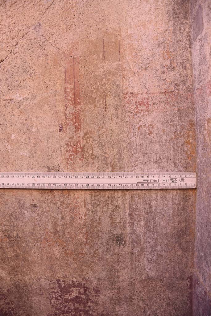 I.4.25 Pompeii. October 2019.   
Room 36, detail from west end of south wall in south-west corner of cubiculum.
Foto Tobias Busen, ERC Grant 681269 D�COR.

